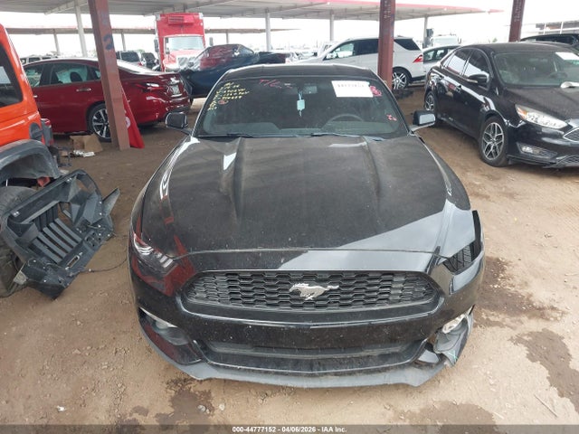 1FA6P8AM5G5290244 Ford Mustang V6