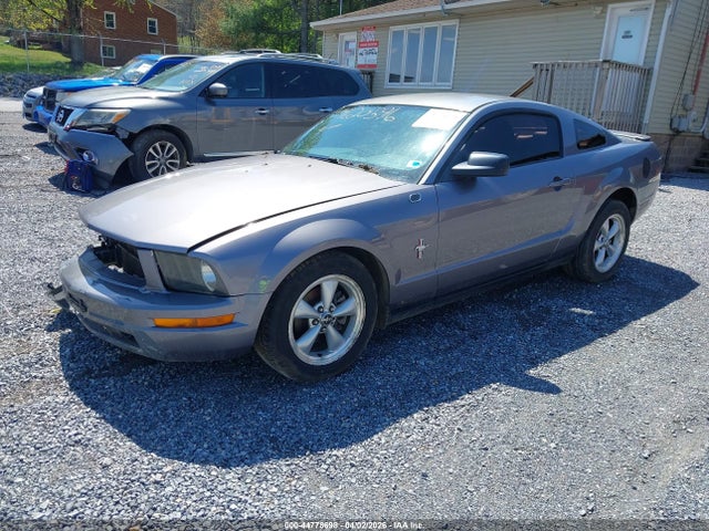 2007 FORD MUSTANG 1ZVHT80N875331231 Photo 1