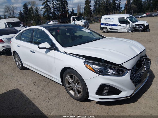Hyundai Sonata Limited 2019 5NPE34AF6KH765209 Image 13