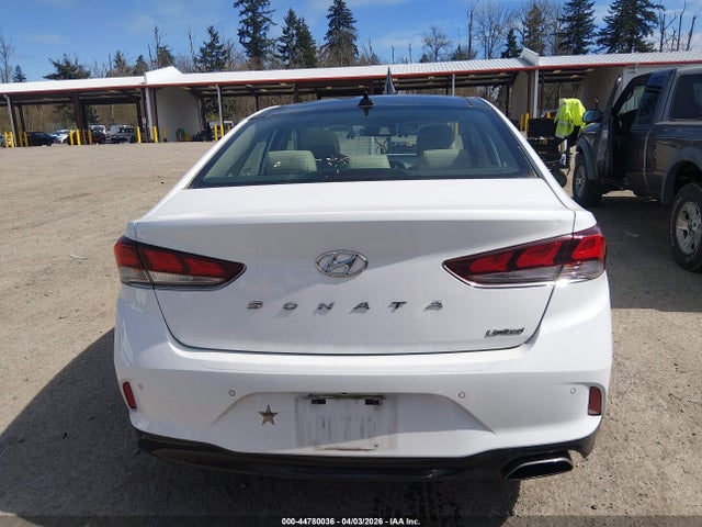 Hyundai Sonata Limited 2019 5NPE34AF6KH765209 Image 16