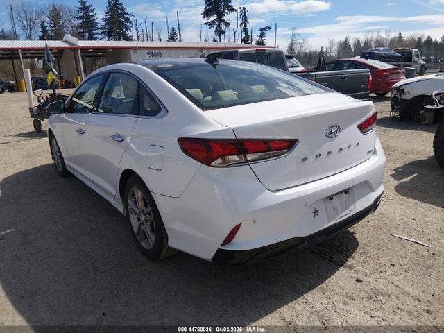 Hyundai Sonata Limited 2019 5NPE34AF6KH765209 Image 3