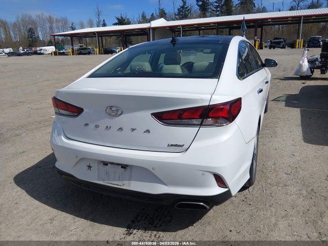 Hyundai Sonata Limited 2019 5NPE34AF6KH765209 Image 4