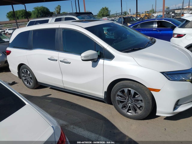 5FNRL6H6XRB069223 Honda Odyssey Ex-l