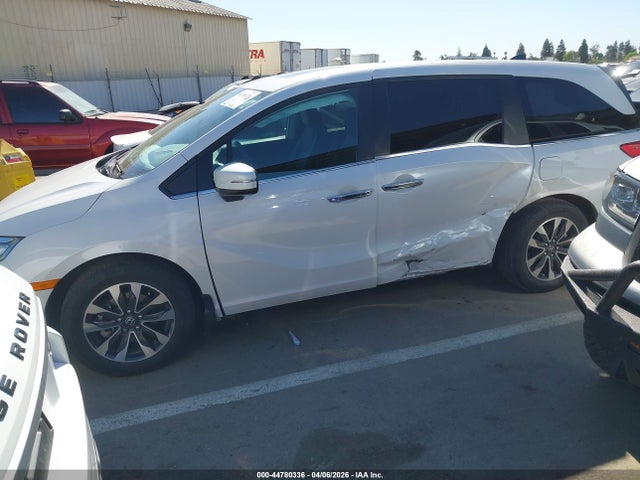 5FNRL6H6XRB069223 Honda Odyssey Ex-l
