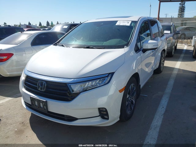 5FNRL6H6XRB069223 Honda Odyssey Ex-l