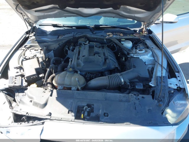 1FATP8UH1K5181550 Ford Mustang Ecoboost Premium