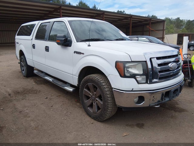 2009 FORD F-150 1FTRW14879KC17364