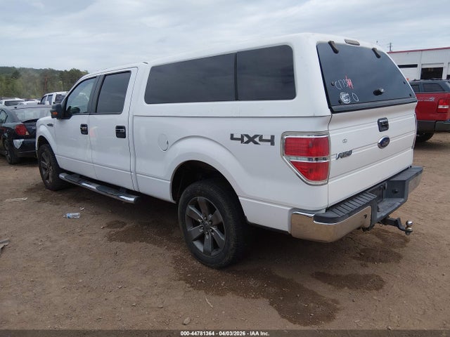 2009 FORD F-150 1FTRW14879KC17364 Photo 2