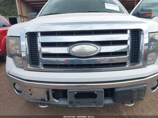 2009 FORD F-150 1FTRW14879KC17364 Photo 5