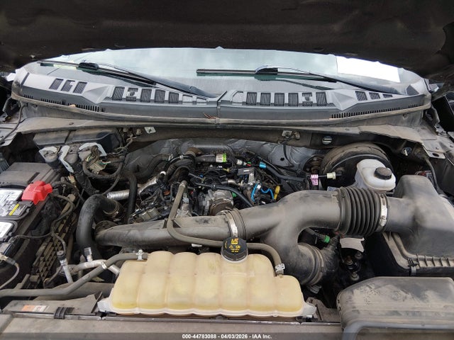 Aukcja sprzedaży 2020 Ford F-150 Xlt, vin: 1FTEW1CPXLKE36883, numer aukcji: 44783088