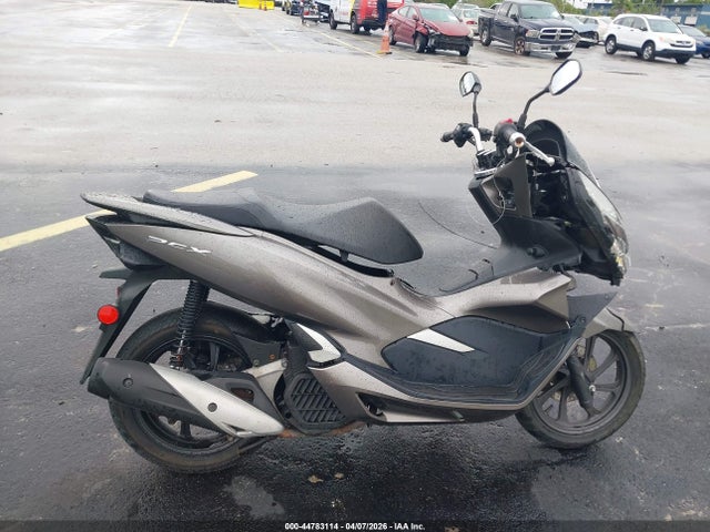 Honda WW150 2019 RLHKF3000KY000366 Image 12