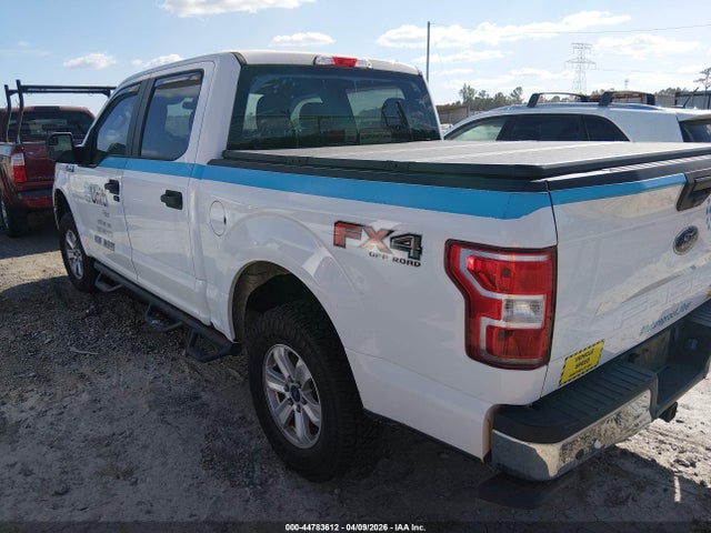 Ford F-150 Xl 2019 1FTEW1E51KFA82805 Image 3