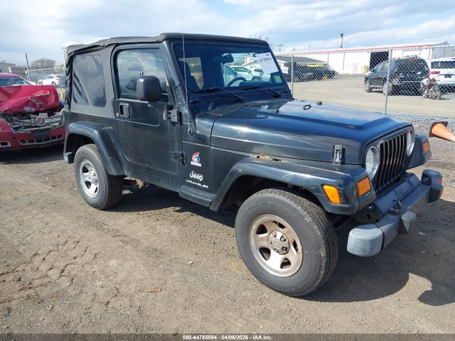 2003 JEEP WRANGLER 1J4FA39S93P363268