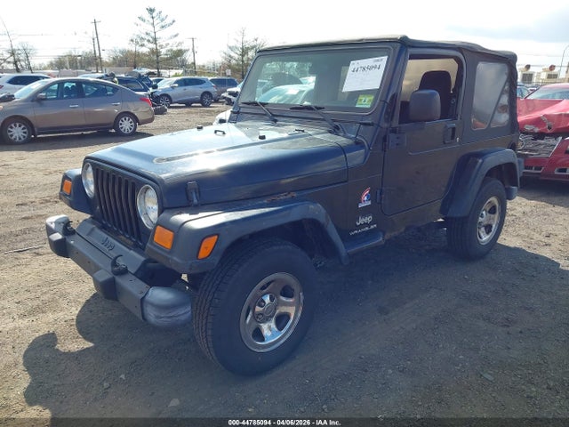 2003 JEEP WRANGLER 1J4FA39S93P363268 Photo 1
