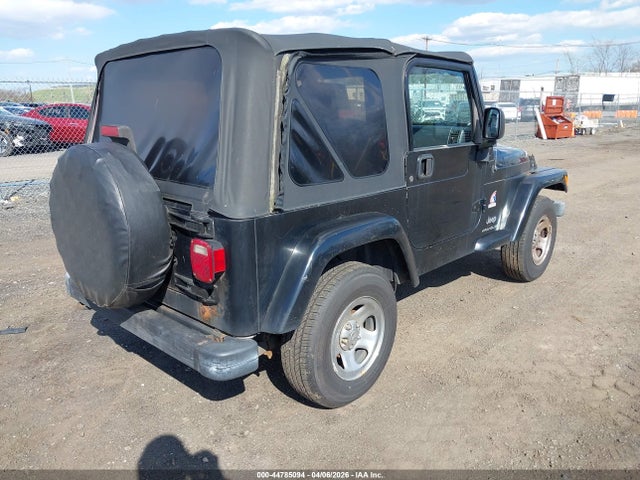 2003 JEEP WRANGLER 1J4FA39S93P363268 Photo 3