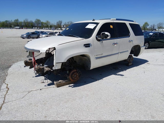 2007 CADILLAC ESCALADE 1GYFK63817R195468 Photo 1