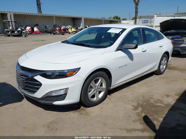 1G1ZC5ST1LF146436 Chevrolet Malibu Fwd 1fl