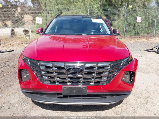 Hyundai Tucson Limited 2023 5NMJECAE7PH199141 Image 12