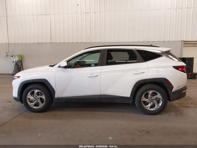 Продаж на аукціоні авто 2024 Hyundai Tucson Sel, vin: 5NMJB3DE4RH427569, номер лоту: 44790424