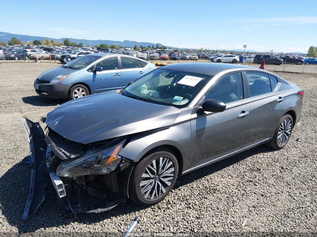 2024 NISSAN ALTIMA 1N4BL4DV7RN385124 Photo 1