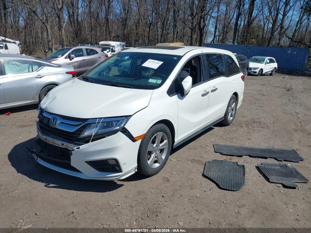 2019 HONDA ODYSSEY 5FNRL6H76KB025430 Photo 1