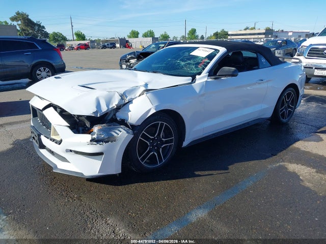 Ford Mustang Ecoboost Premium 2019 1FATP8UH9K5149381 Image 2