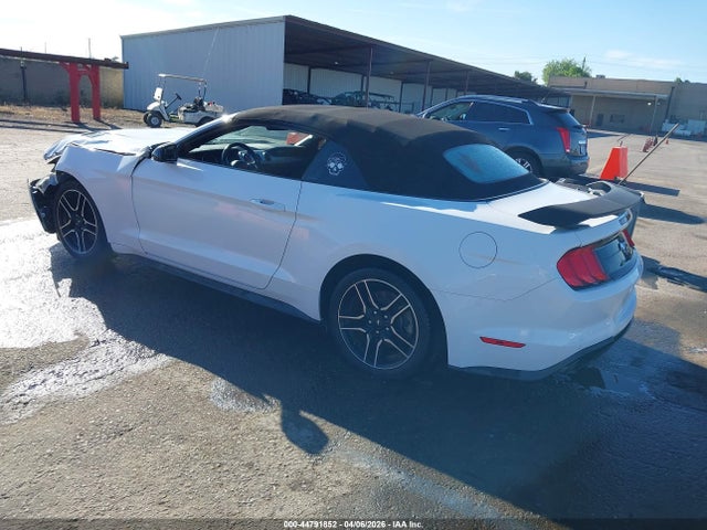 Ford Mustang Ecoboost Premium 2019 1FATP8UH9K5149381 Image 3