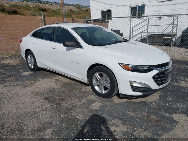 2019 CHEVROLET MALIBU 1G1ZC5STXKF183239