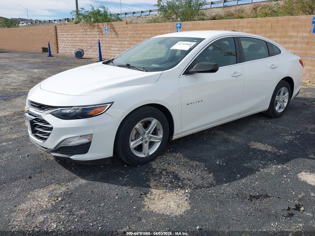 2019 CHEVROLET MALIBU 1G1ZC5STXKF183239 Photo 1