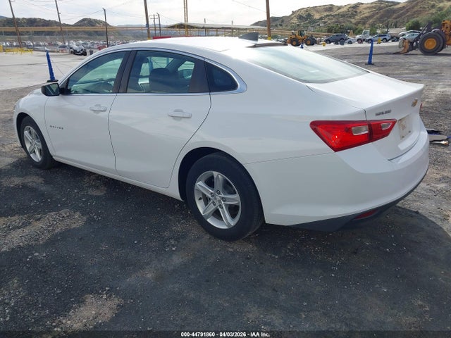 2019 CHEVROLET MALIBU 1G1ZC5STXKF183239 Photo 2