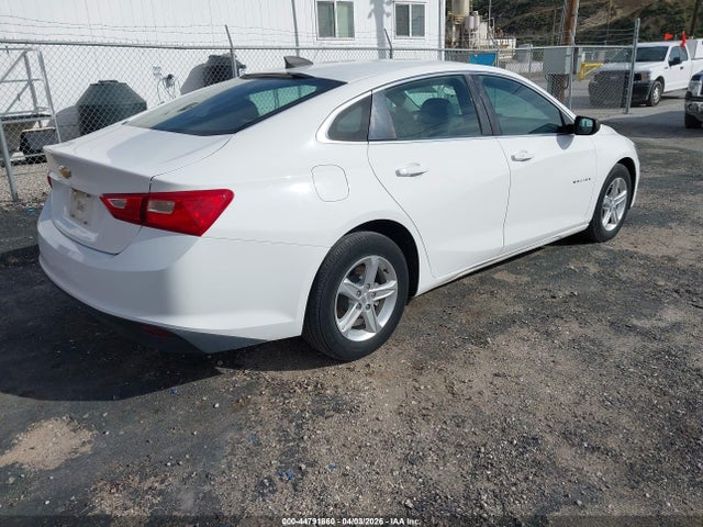 2019 CHEVROLET MALIBU 1G1ZC5STXKF183239 Photo 3