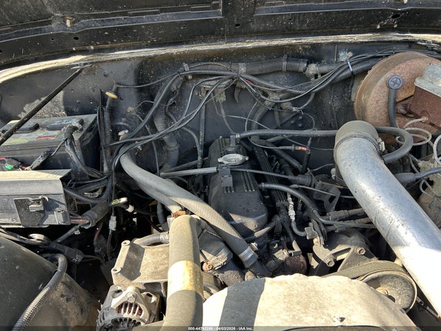 Auction sale of the 1993 Jeep Wrangler / Yj S, vin: 1J4FY19P6PP256339, lot number: 44792288