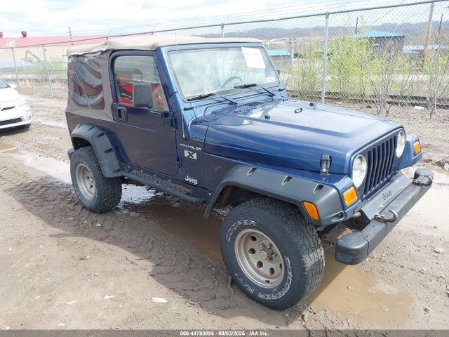 2002 JEEP WRANGLER 1J4FA39S82P776359