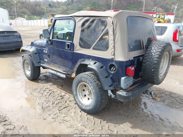 2002 JEEP WRANGLER 1J4FA39S82P776359 Photo 2