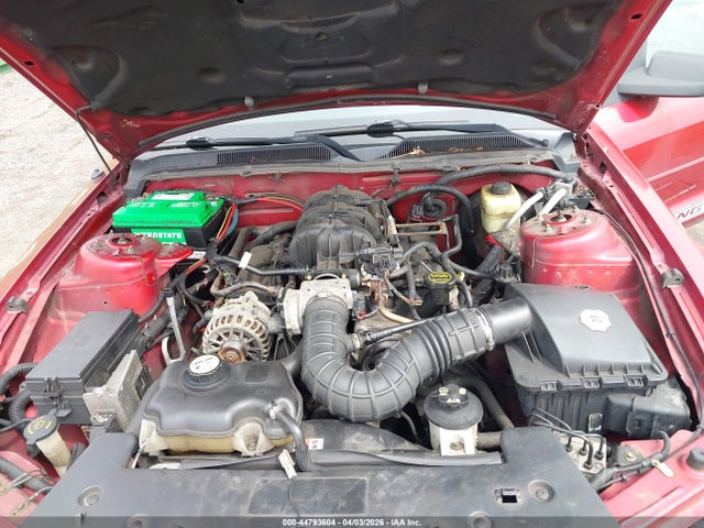 2006 FORD MUSTANG 1ZVFT80N965193799 Photo 9