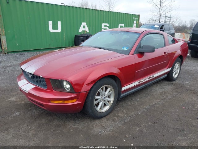 2006 FORD MUSTANG 1ZVFT80N965193799 Photo 1