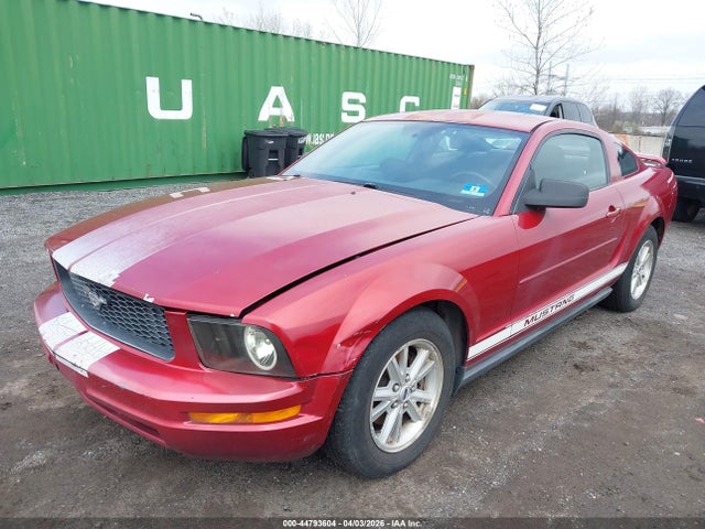 2006 FORD MUSTANG 1ZVFT80N965193799 Photo 5