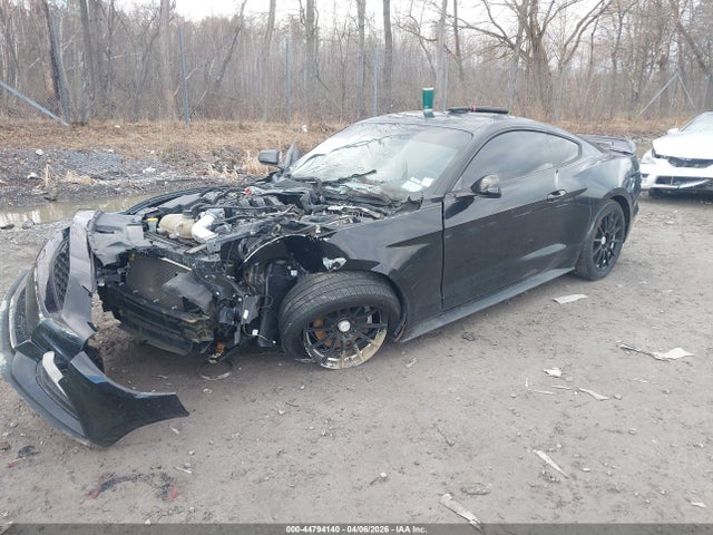 2017 FORD MUSTANG 1FA6P8AM3H5215396 Photo 1