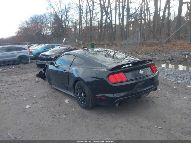 2017 FORD MUSTANG 1FA6P8AM3H5215396 Photo 2