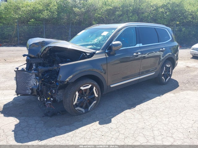 Продаж на аукціоні авто 2025 Kia Telluride S, vin: 5XYP6DGC9SG636496, номер лоту: 44795231
