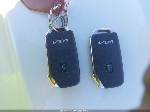 2022 KIA TELLURIDE 5XYP5DHC9NG220499 Photo 10