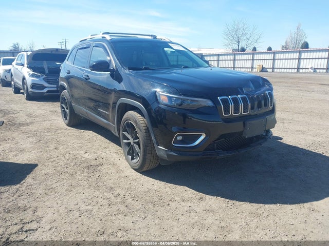 2019 JEEP CHEROKEE 1C4PJMDN0KD299526