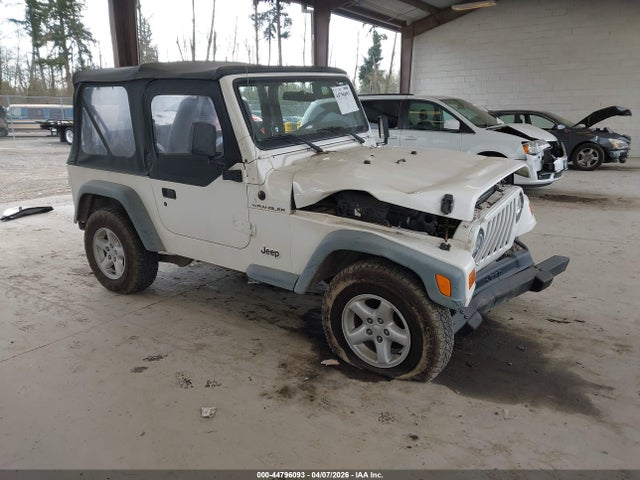 2002 JEEP WRANGLER 1J4FA29PX2P769595