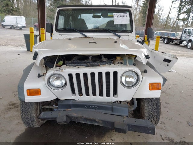 2002 Jeep Wrangler Se მანქანა იყიდება აუქციონზე, vin: 1J4FA29PX2P769595, აუქციონის ნომერი: 44796093