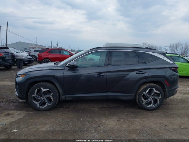 Aukcja sprzedaży 2023 Hyundai Tucson Limited, vin: 5NMJECAE0PH243593, numer aukcji: 44796183