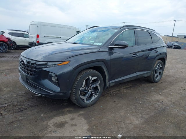 Aukcja sprzedaży 2023 Hyundai Tucson Limited, vin: 5NMJECAE0PH243593, numer aukcji: 44796183