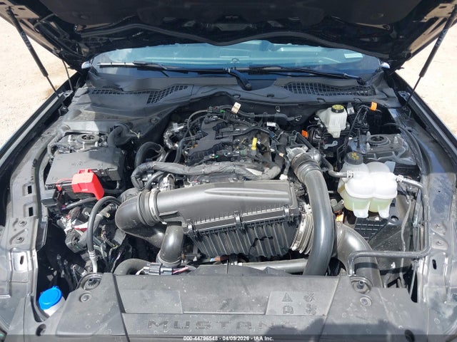 44796548 :رقم المزاد ، 1FA6P8TH1S5128085 vin ، 2025 Ford Mustang Ecoboost Fastback مزاد بيع
