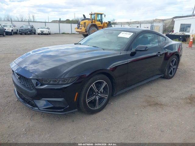 44796548 :رقم المزاد ، 1FA6P8TH1S5128085 vin ، 2025 Ford Mustang Ecoboost Fastback مزاد بيع