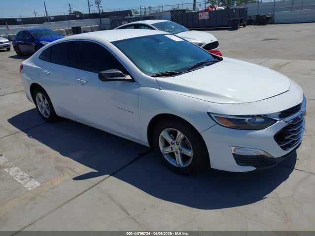 2019 CHEVROLET MALIBU 1G1ZB5STXKF136439