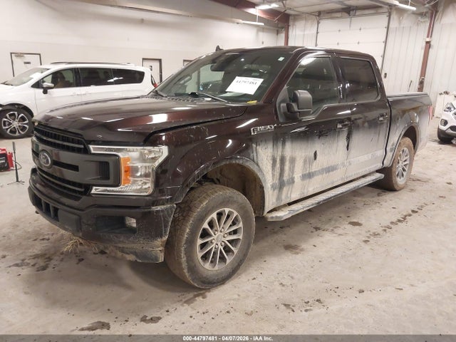 Продажа на аукционе авто 2019 Ford F-150 Xlt, vin: 1FTEW1EP3KFD12992, номер лота: 44797481